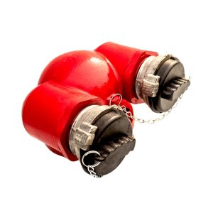 Họng tiếp nước chữa cháy 2 cửa DN65