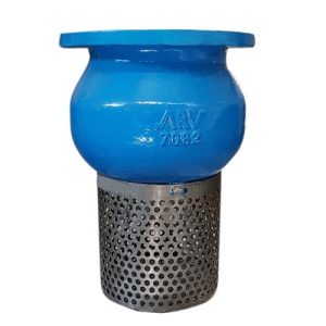 Rọ hút ARV