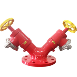 Đầu trụ chữa cháy 2 cửa