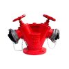 Trụ (cột lấy nước) chữa cháy 2 họng ra D65