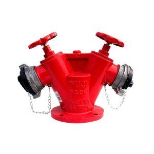 Trụ (cột lấy nước) chữa cháy 2 họng ra D65