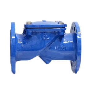 Van 1 chiều lá lật RDCV