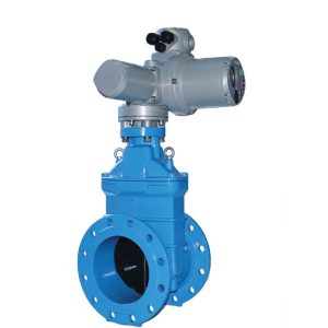 Van cổng động cơ điện EMD