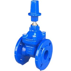 Van cổng ty chìm nắp chụp ARV
